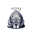 ドット絵 スコティッシュフォールド ブルー（個別スタンプ：10）