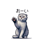 ドット絵 スコティッシュフォールド ブルー（個別スタンプ：19）