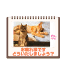 仕事で使えるスタンプ集①（個別スタンプ：21）