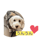 ここみこの日常①（個別スタンプ：5）