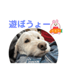 ここみこの日常①（個別スタンプ：7）