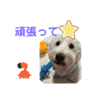 ここみこの日常①（個別スタンプ：8）