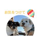 ここみこの日常①（個別スタンプ：9）