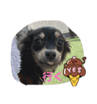 ここみこの日常①（個別スタンプ：11）
