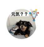 ここみこの日常①（個別スタンプ：12）