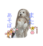 ここみこの日常①（個別スタンプ：14）