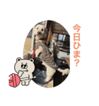 ここみこの日常①（個別スタンプ：20）