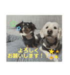 ここみこの日常①（個別スタンプ：22）