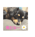 ここみこの日常①（個別スタンプ：26）