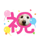 ここみこの日常①（個別スタンプ：28）