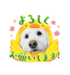 ここみこの日常①（個別スタンプ：33）
