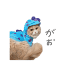 ぼくはぽん太（個別スタンプ：14）