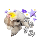 @momopupgood（個別スタンプ：4）