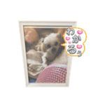 @momopupgood（個別スタンプ：13）