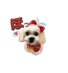 @momopupgood（個別スタンプ：22）