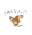 ねこダイ好き（個別スタンプ：9）