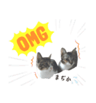 ねこダイ好き（個別スタンプ：32）