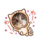 ねこダイ好き（個別スタンプ：40）
