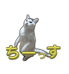 ぷっちぷー！（個別スタンプ：4）
