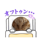 そらりっと（個別スタンプ：30）