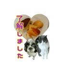 犬LOVE猫（個別スタンプ：7）