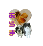 犬LOVE猫（個別スタンプ：15）