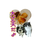 犬LOVE猫（個別スタンプ：18）