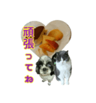 犬LOVE猫（個別スタンプ：19）