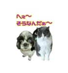 犬LOVE猫（個別スタンプ：30）