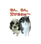 犬LOVE猫（個別スタンプ：32）