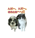 犬LOVE猫（個別スタンプ：33）