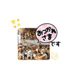 お仕事Ver．かわいいスタンプ（個別スタンプ：5）