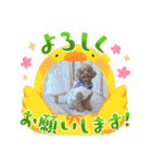 お仕事Ver．かわいいスタンプ（個別スタンプ：20）