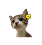 あいつ、ら（個別スタンプ：1）