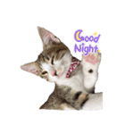 あいつ、ら（個別スタンプ：14）