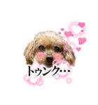 我が家のアロハちゃん❽（個別スタンプ：4）