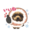 我が家のアロハちゃん❽（個別スタンプ：9）