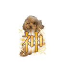 我が家のアロハちゃん❽（個別スタンプ：32）