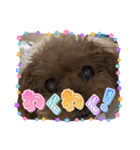 我が家のアロハちゃん❽（個別スタンプ：35）