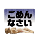 【可愛い】レオン君感情爆発スタンプ（個別スタンプ：3）