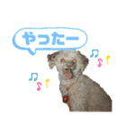 【可愛い】レオン君感情爆発スタンプ（個別スタンプ：4）