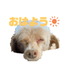 【可愛い】レオン君感情爆発スタンプ（個別スタンプ：7）