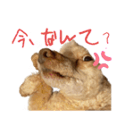【可愛い】レオン君感情爆発スタンプ（個別スタンプ：16）