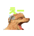 【可愛い】レオン君感情爆発スタンプ（個別スタンプ：18）