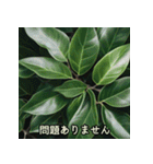 綺麗な植物と共に敬語で丁寧な挨拶（個別スタンプ：15）