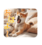 リアルな柴犬【年中使える】面白かわいい（個別スタンプ：37）