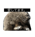 あくあ君日常使い（個別スタンプ：3）