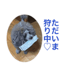 あくあ君日常使い（個別スタンプ：9）