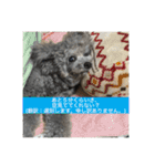 あくあ君日常使い（個別スタンプ：10）