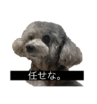 あくあ君日常使い（個別スタンプ：11）